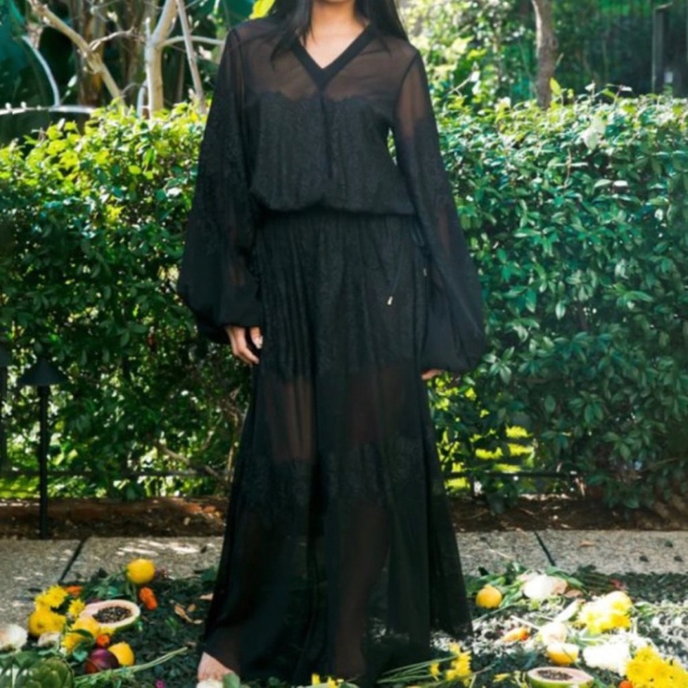 Royal Hahness Long Sleeve Sheer Lace and Mesh Dress